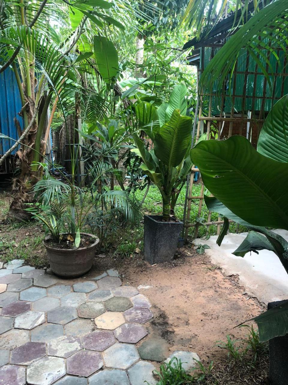 Sok Phen Homestay Sziemreap Kültér fotó