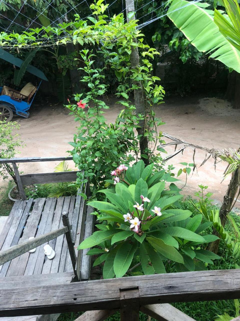 Sok Phen Homestay Sziemreap Kültér fotó