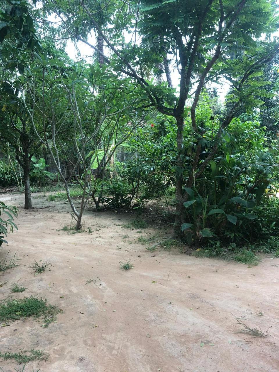 Sok Phen Homestay Sziemreap Kültér fotó