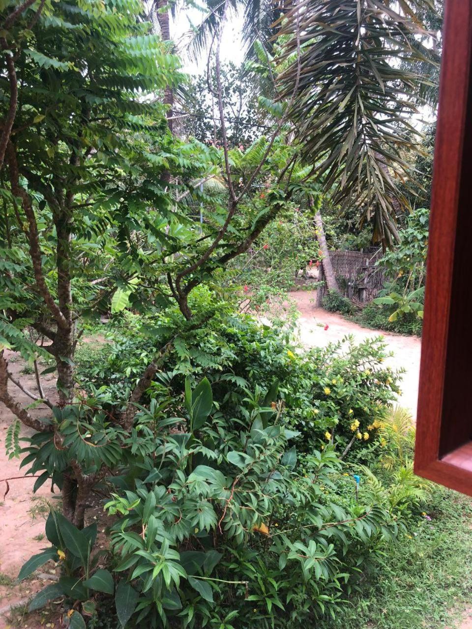 Sok Phen Homestay Sziemreap Kültér fotó